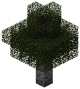 Осины (TerraFirmaCraft).png